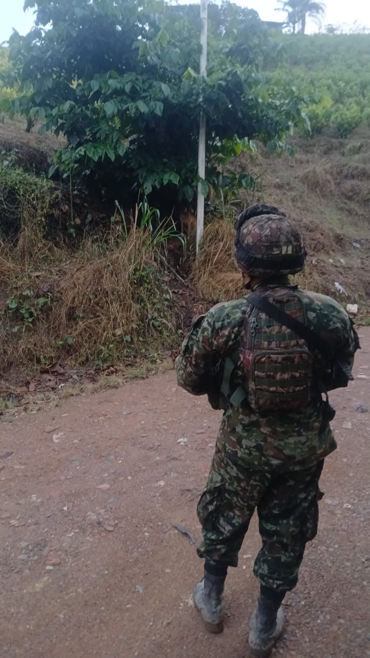 Según las autoridades, el artefacto estaba oculto en un bolso con bloques de pentolita, balines de acero y un sistema de activación con batería de motocicleta.