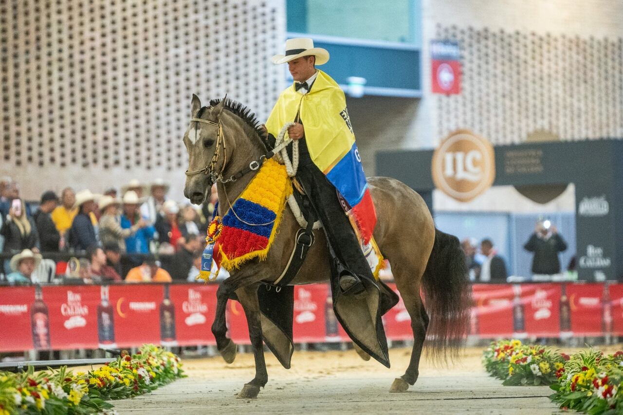 Colombia da inicio al XVII Mundial de Caballos de Paso: más de 2.000 ejemplares y 123 empresas reunidas en el Valle del Cauca, del 27 de octubre al 2 de noviembre de 2025