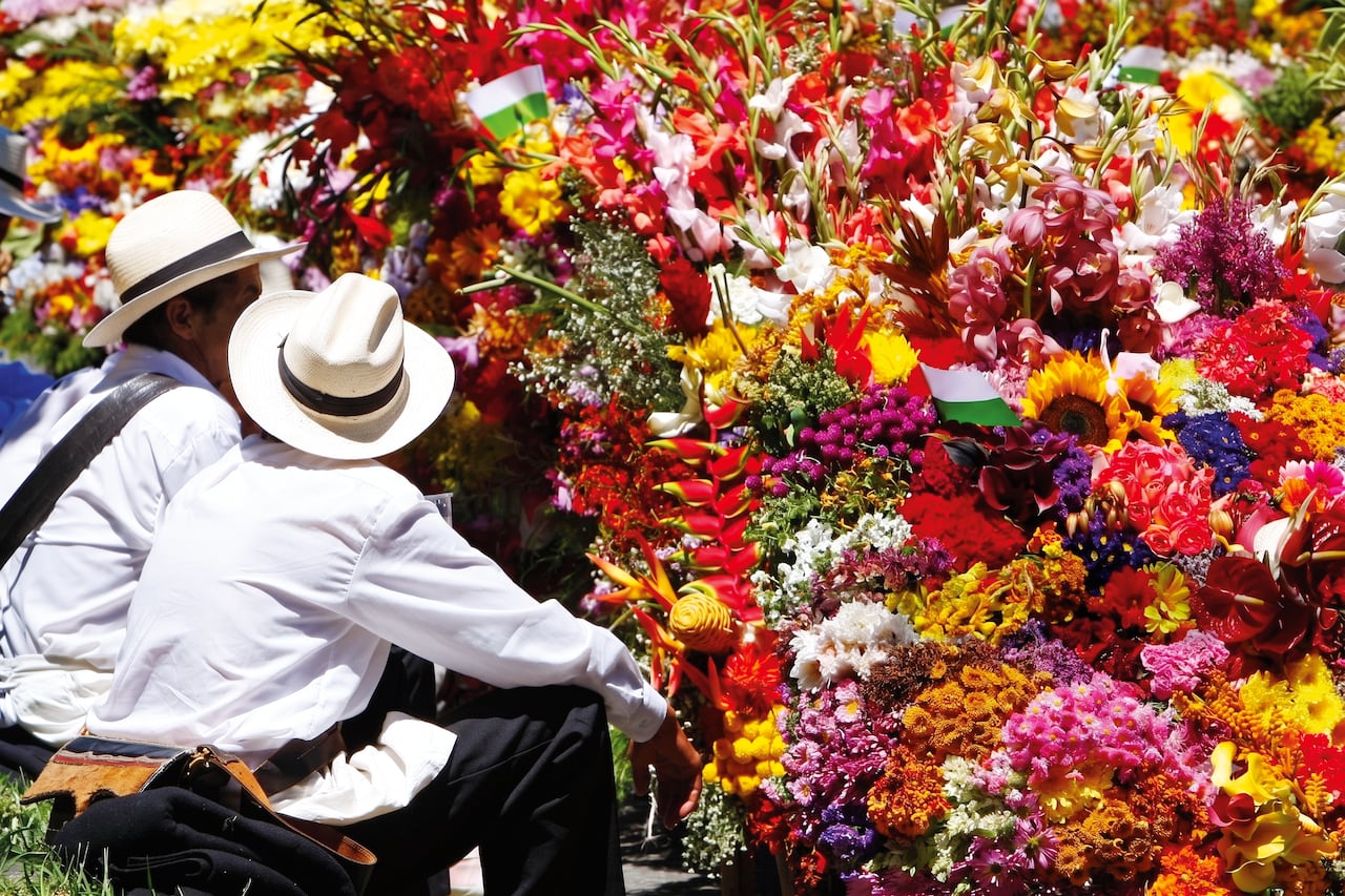 Hoy, cerca del 70 por ciento del área cultivada en Antioquia cuenta con la certificación Florverde Sustainable Flowers de Asocolflores.