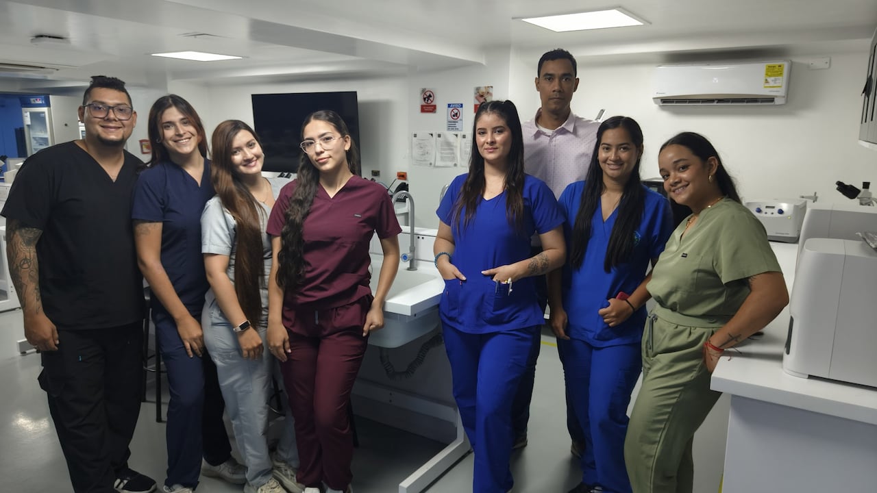 Tras el rescate, la primera parada obligada fue la clínica de la Universidad Santiago de Cali, institución que dispuso sus servicios de valoración médica gratuita para atender a las víctimas de cuatro patas golpeadas por el sismo.