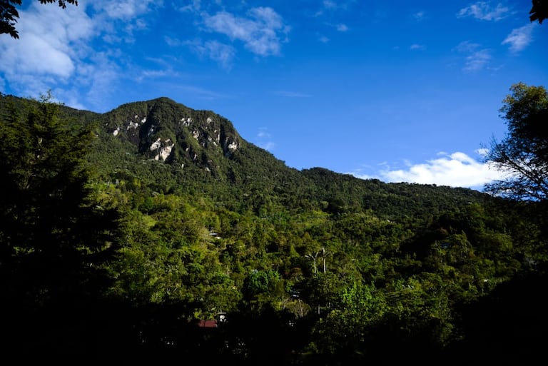 El Parque Nacional Natural Los Farallones es una de las joyas naturales de la ciudad.