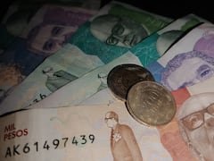 dinero, plata, billetes, moneda, salario mínimo, salario mínimo legal vigente
