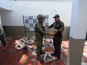 Las 105 babillas vivas iban a ser comercializadas por más de ochenta millones de pesos en el Cesar. (Colprensa - Fotos suministradas por la Armada)