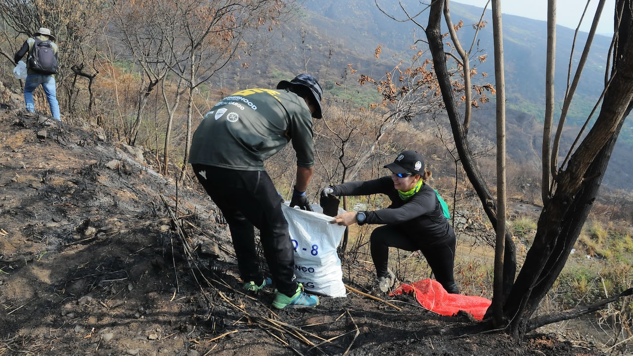 Cali; Centenares de caleños participan de la campaña de reverdecer y limpieza de los cerros tutelares de Cali (Tres Cruces, Guaca) que fueron afectados por incendios forestales en días pasados. foto José L Guzmán. El País, sept 30-23