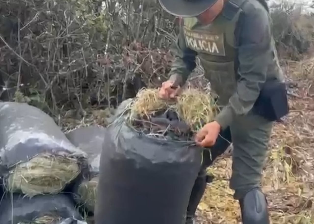 Autoridades sorprendieron a los implicados mientras quemaban material forestal sin permisos ambientales.