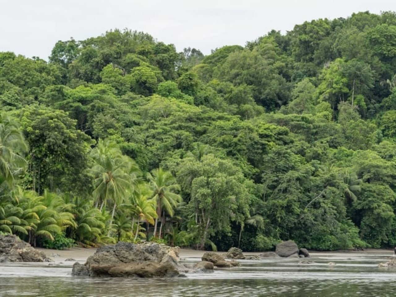 Nuquí, en el Chocó, se consolida como destino turístico del Pacífico colombiano por sus playas, termales naturales y riqueza ambiental.