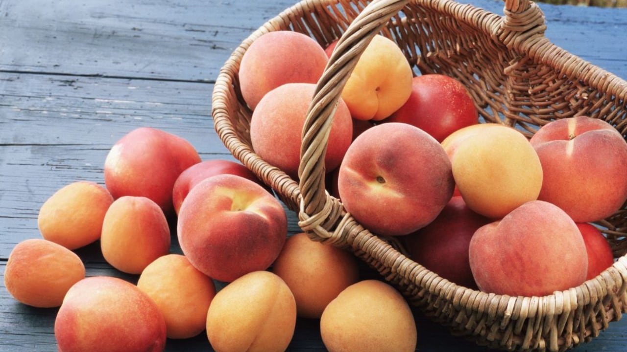 Fruta que tiene múltiples beneficios.