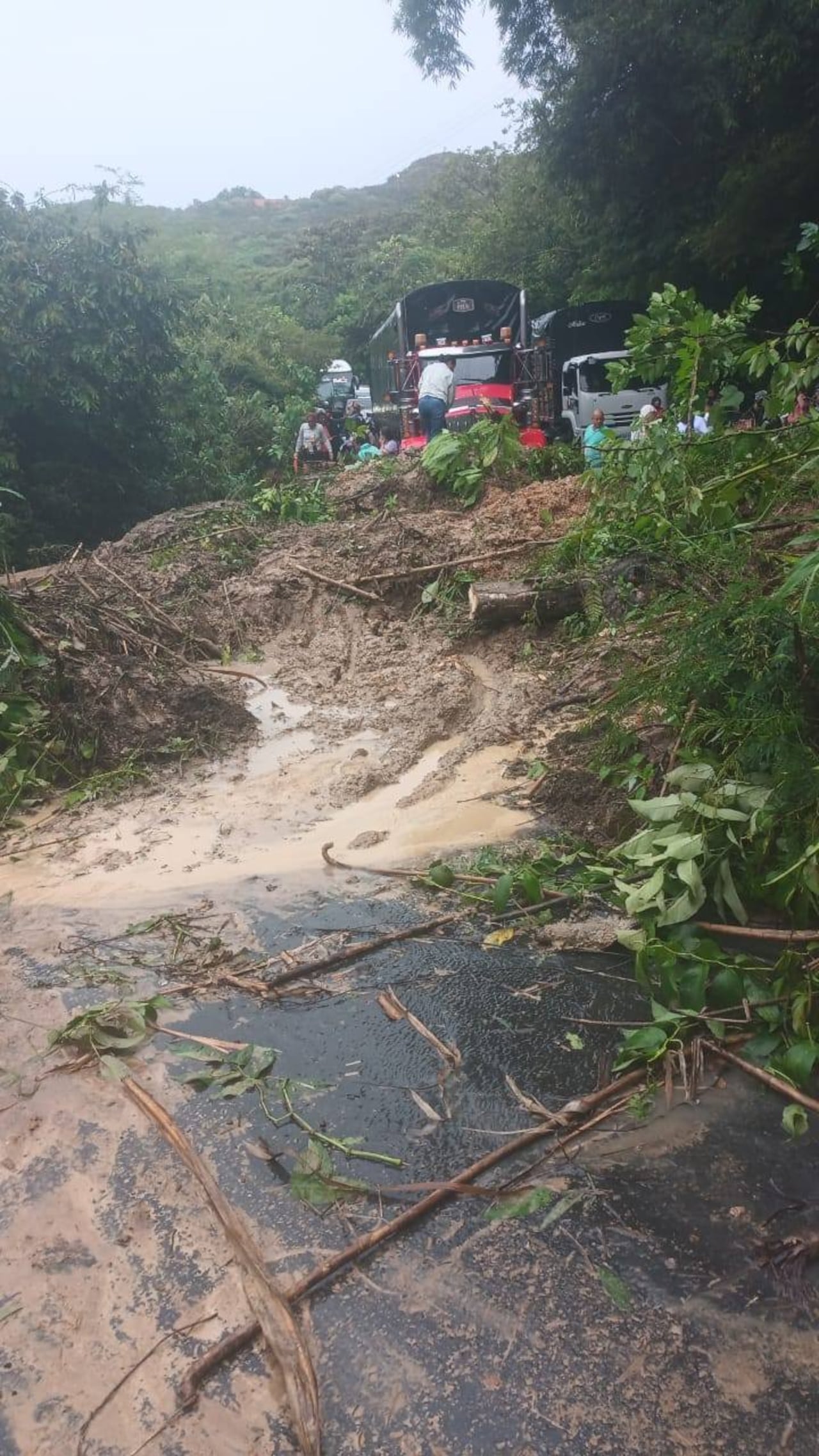 La emergencia sucedió en las primeras horas de la mañana de este jueves 22 de enero, confirmaron los usuarios de esta carretera.