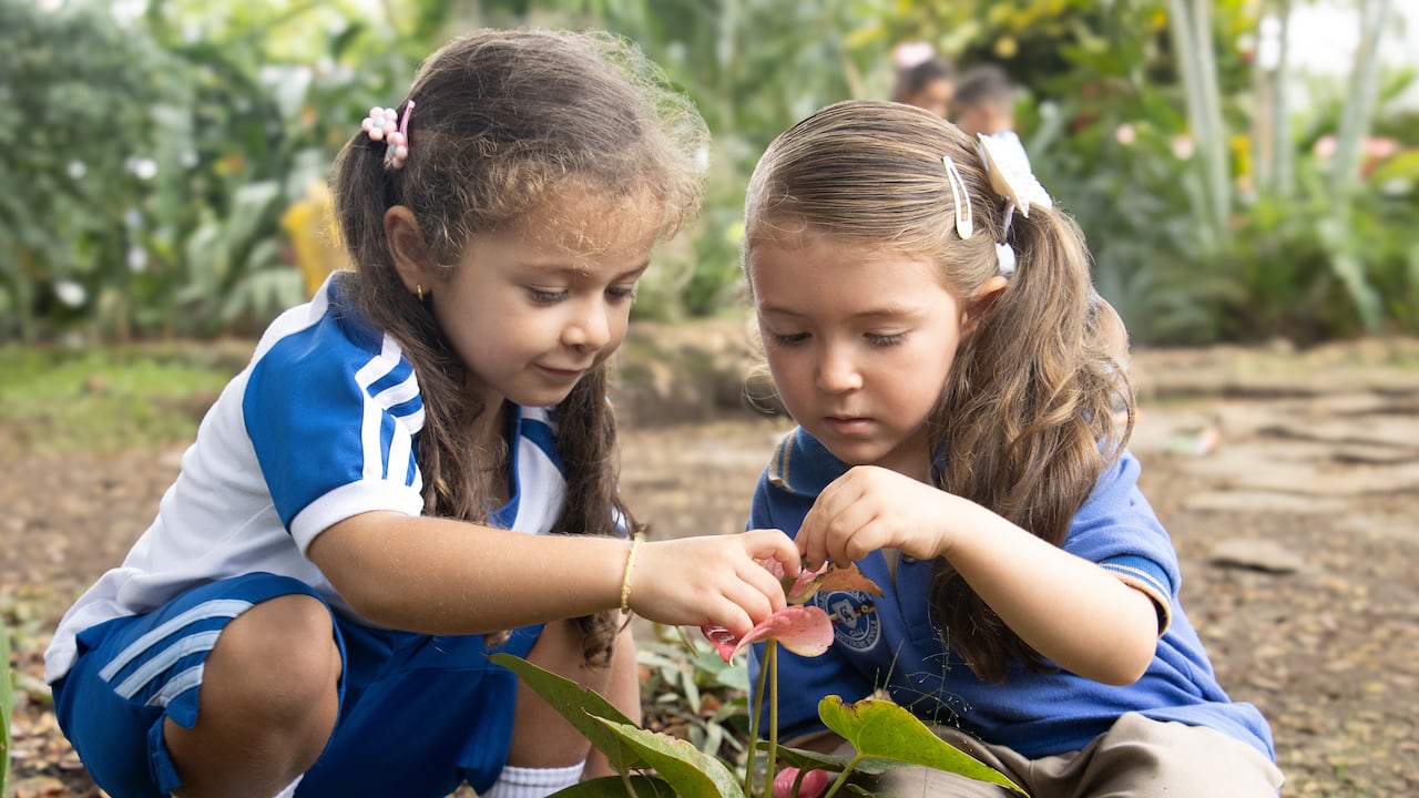 El Colegio Alemán de Cali adelanta acciones para que los estudiantes aprendan sobre conceptos ambientales, manejo de residuos y aspectos de mejora en la comunidad o en sus propias casas.