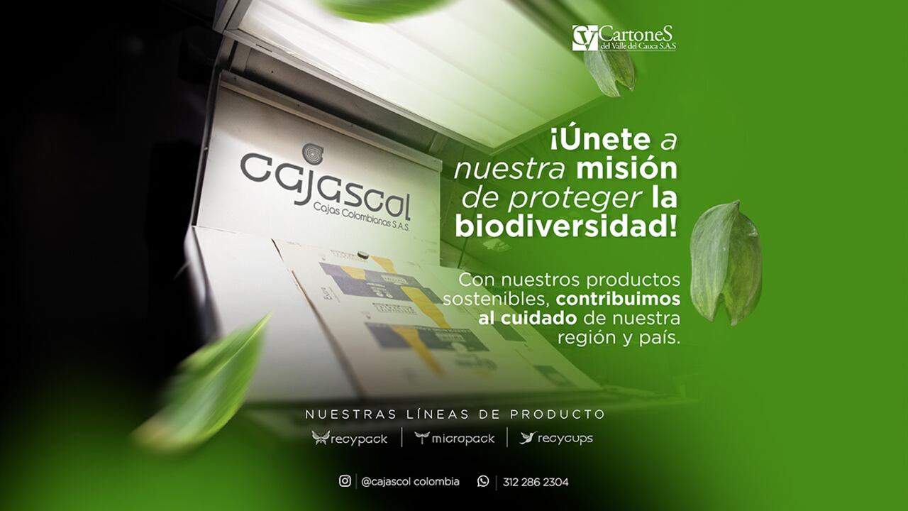 Cajascol es una compañía que se ha posicionado como un referente nacional e internacional por elaborar productos a base de cartón.