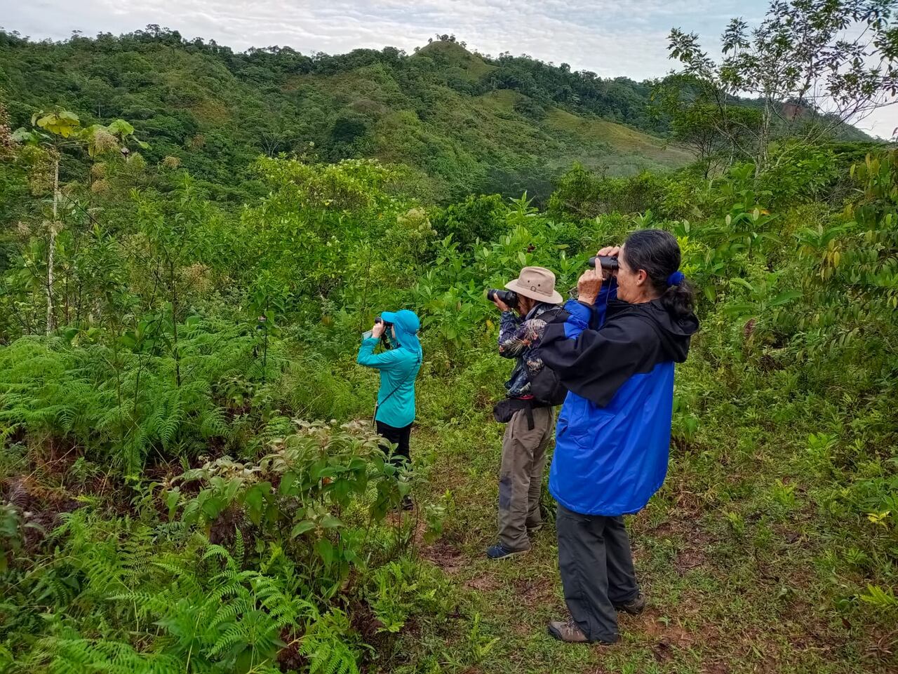Destinos emergentes, proyecto de Acotur.