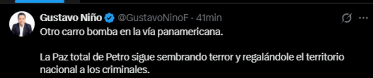 El exviceministro de Defensa, Gustavo Niño, arremetió contra la gestión del presidente Gustavo Petro.
