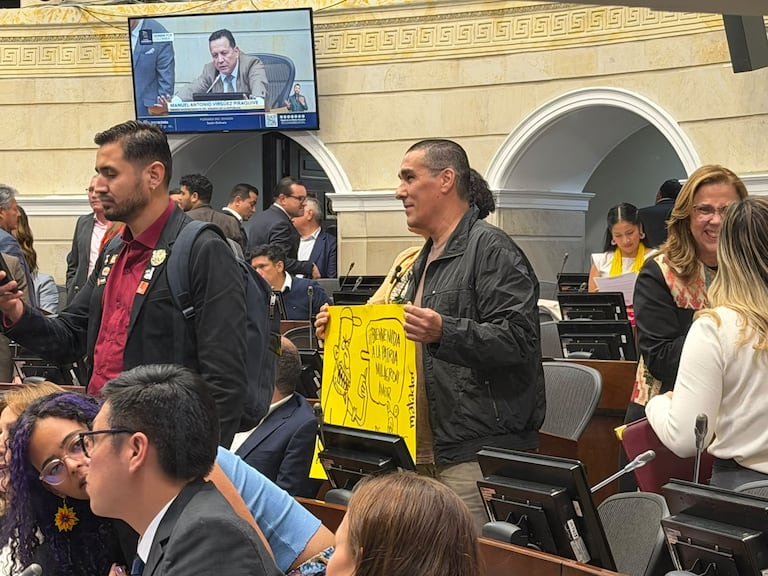 Matador en el recinto del Senado.