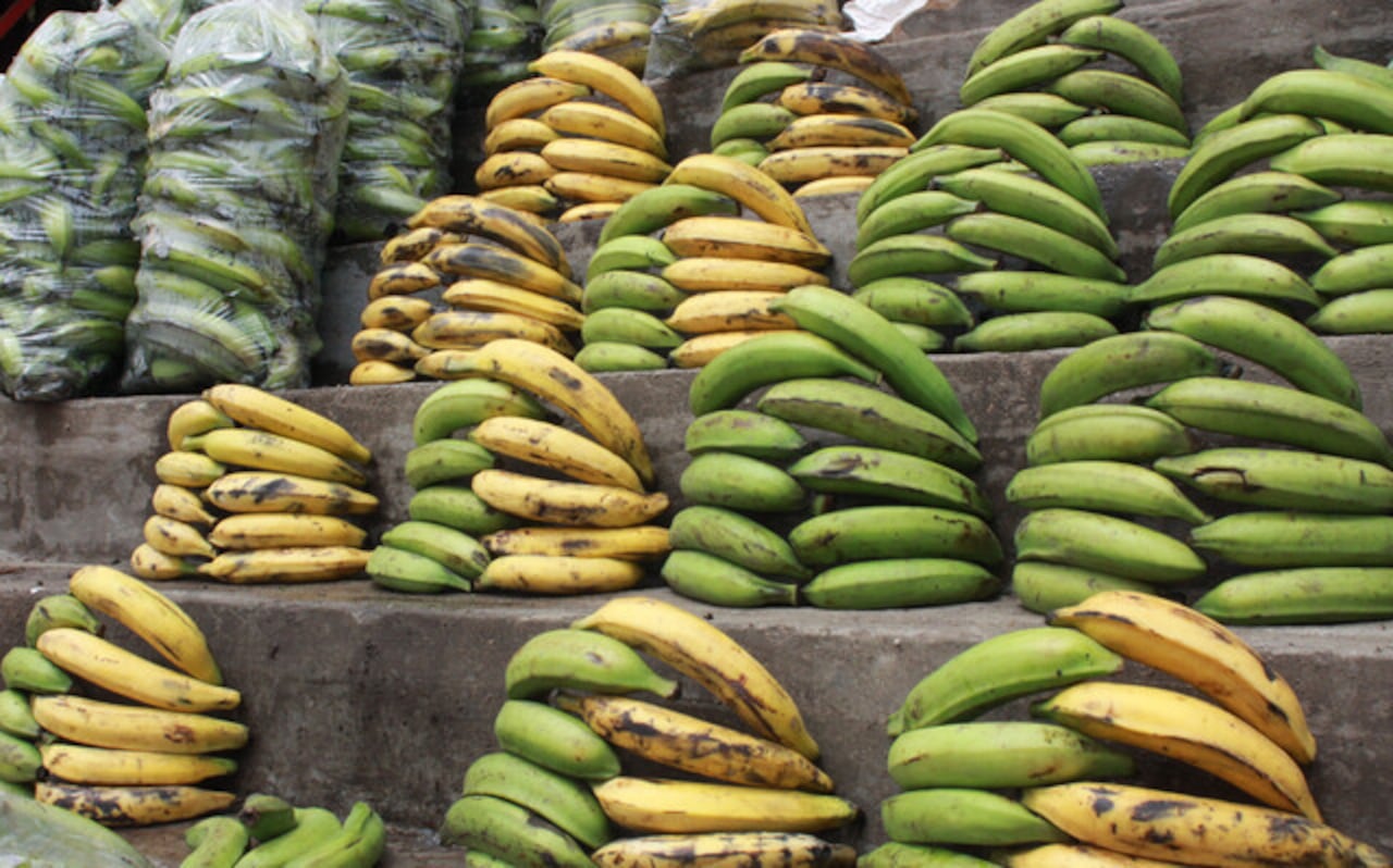 El plátano es uno de los ingredientes más utilizados en la gastronomía colombiana.