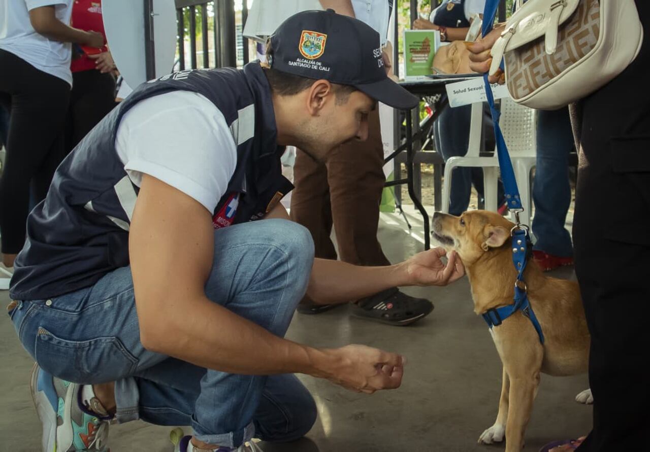 Los animales serán vacunados en diferentes puntos de la ciudad.