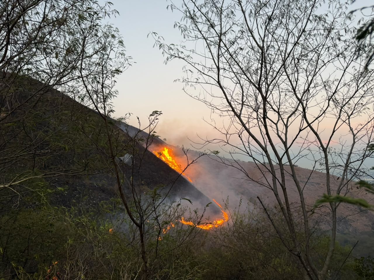 El incendio lleva más de 40 horas activo.