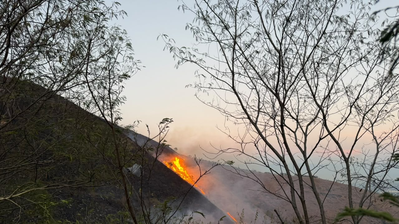 El incendio lleva más de 40 horas activo.