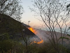 El incendio lleva más de 40 horas activo.