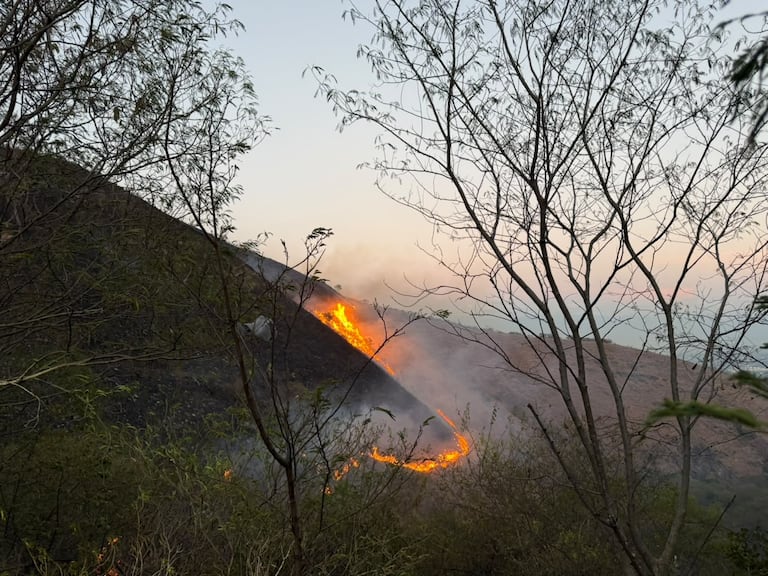 El incendio lleva más de 40 horas activo.