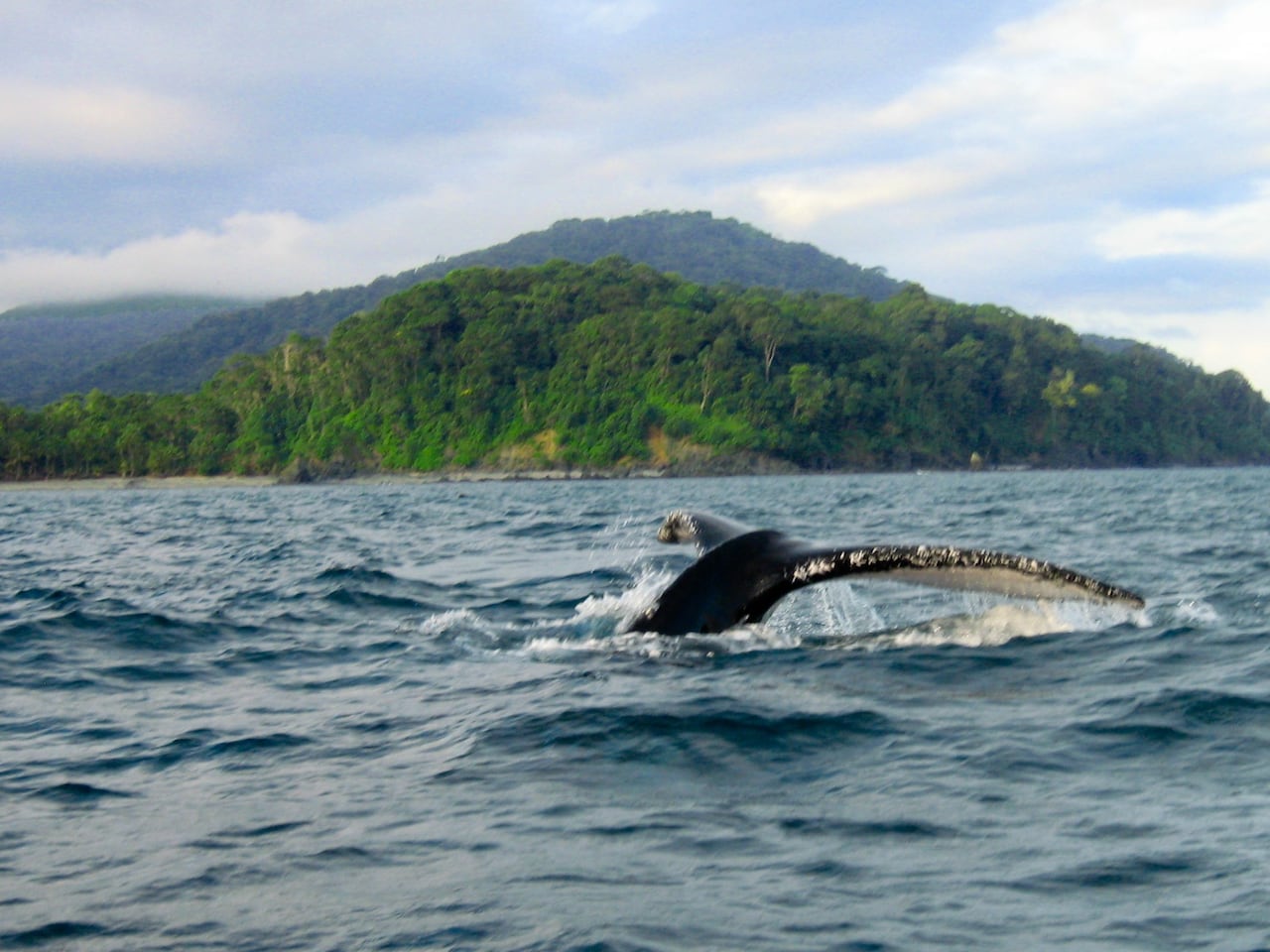 En su primera fase, Parques Nacionales Naturales de Colombia viene ejecutando $8.000 millones en infraestructura y buenas prácticas pesqueras para las comunidades de Bazán.