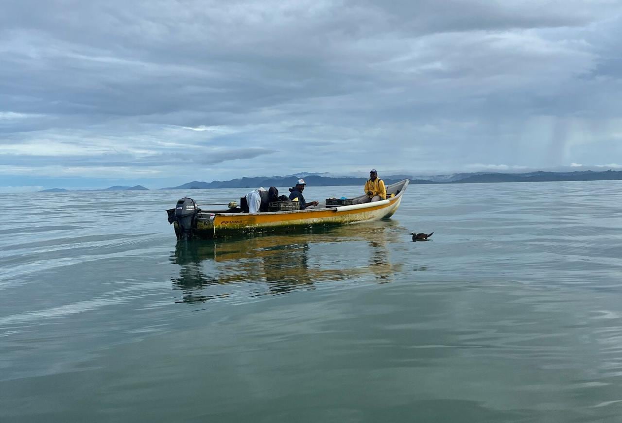 Con compras a precios justos y un modelo de pesca sostenible, Nuquí Fish busca impulsar el acceso a mercados para pescadores de Nuquí.