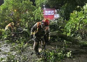 Los primeros árboles en removerse fueron los que cayeron en las vías y sobre las viviendas.