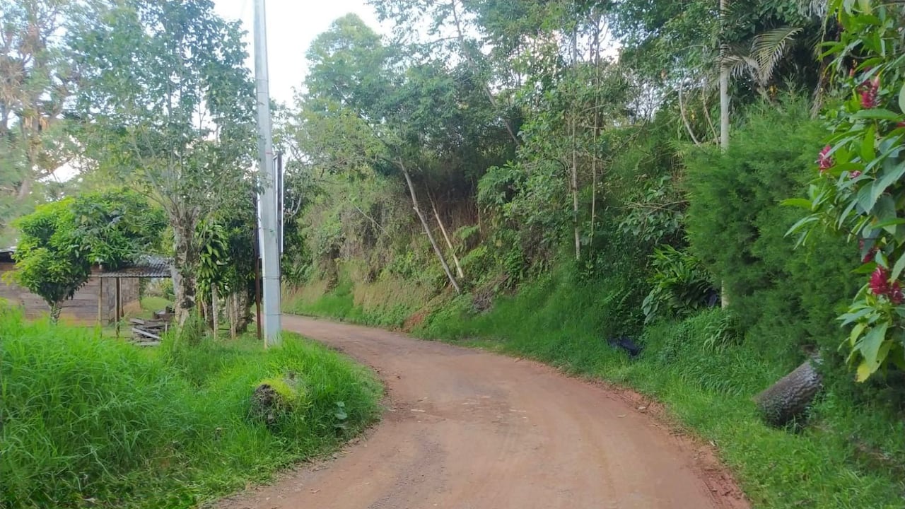 La Alcaldía adjudicó el proyecto de mejoramiento del corredor vial Vuelta Occidente