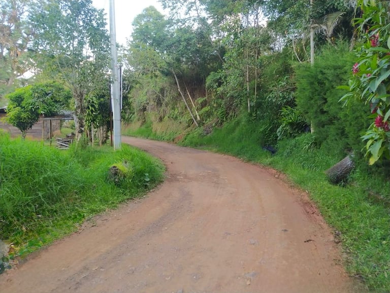 La Alcaldía adjudicó el proyecto de mejoramiento del corredor vial Vuelta Occidente