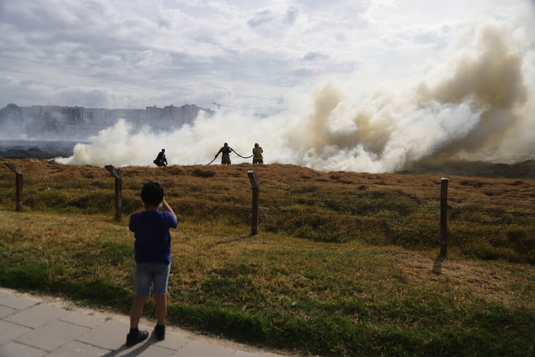 Los incendios forestales en Tolima han afectado 22.319 hectáreas de cobertura vegetal.