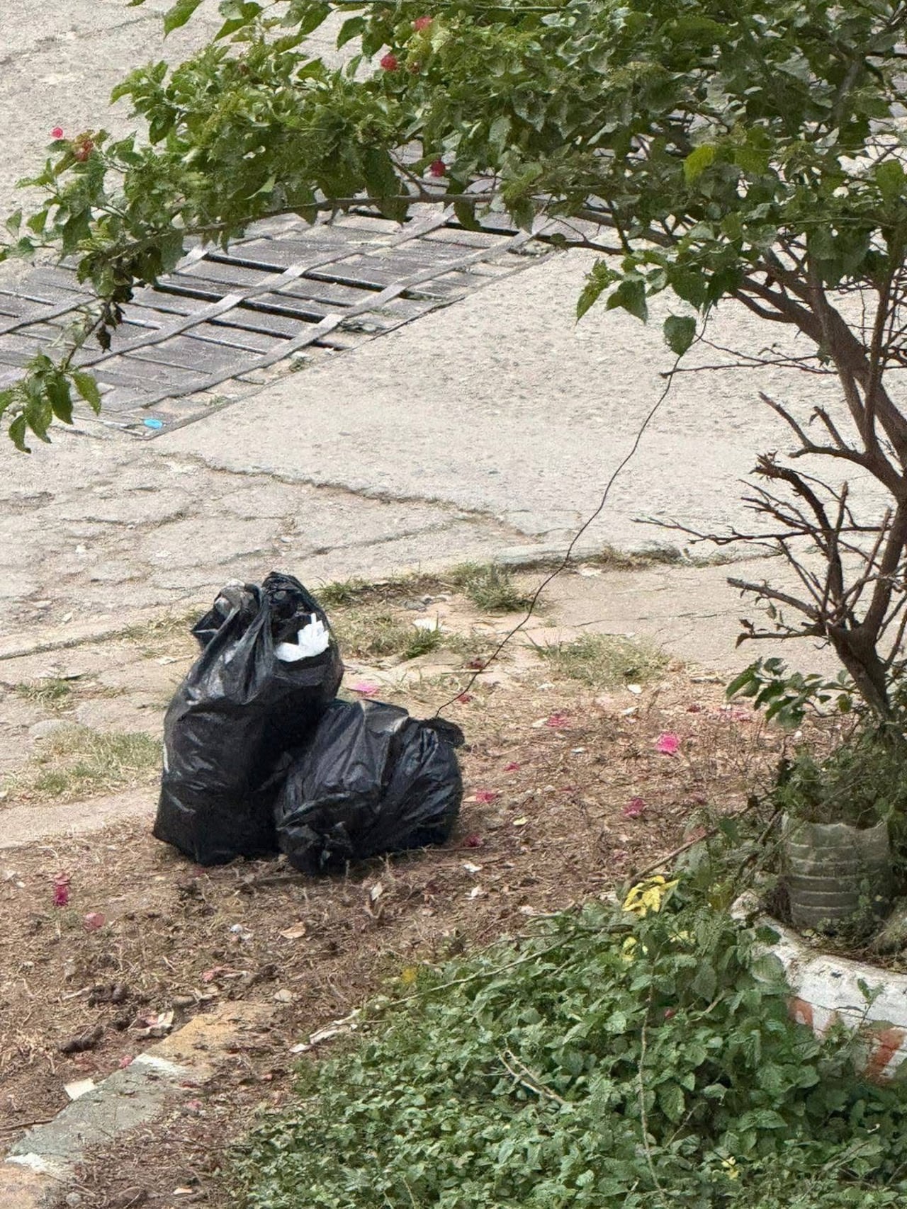 En Suárez, se suspendió el servicio de recolección de basura por el peligro que ahora representa esta actividad, la fuerza pública entrará a apoyar esta labora.