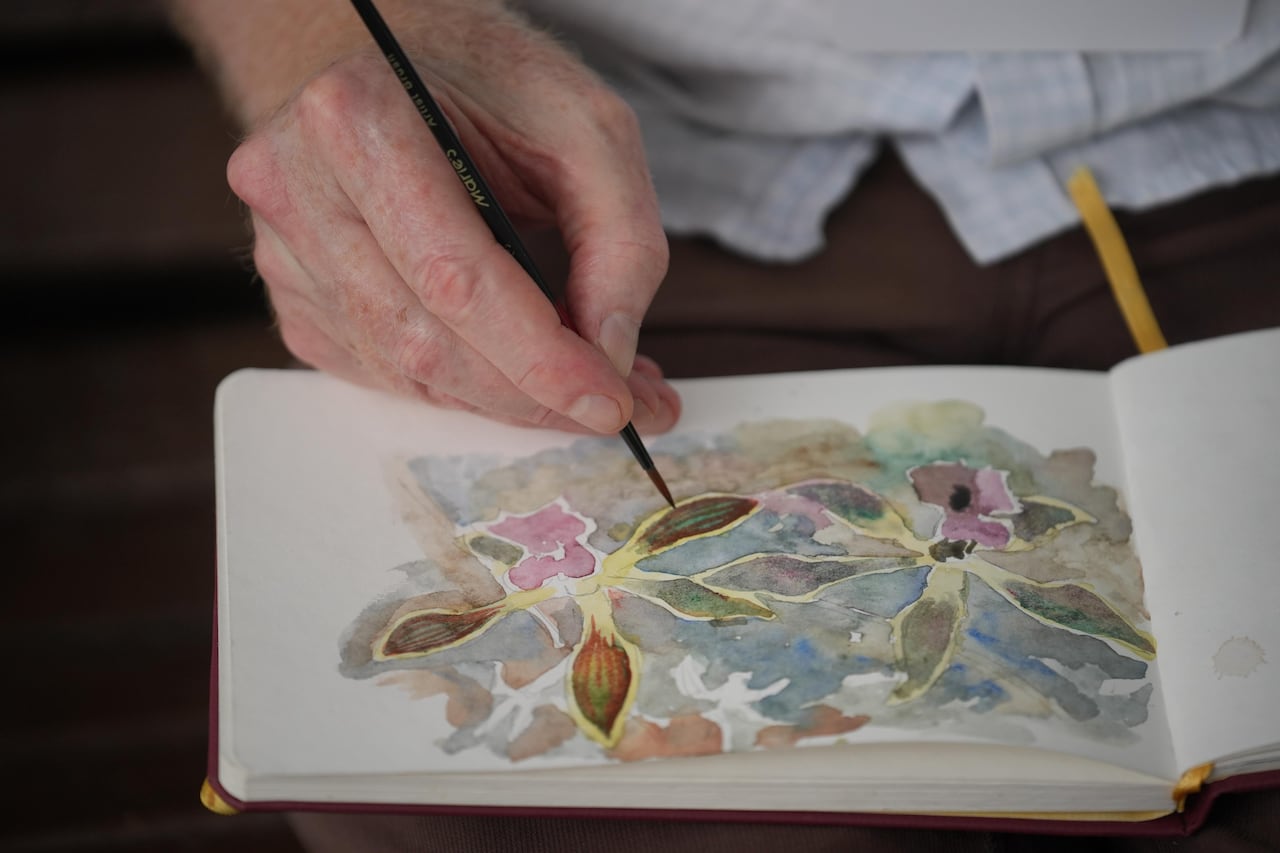 Dr. Steve Hilty, referente mundial del neotrópico y autor de la biblia de la ornitología local: A Guide to the Birds of Colombia.