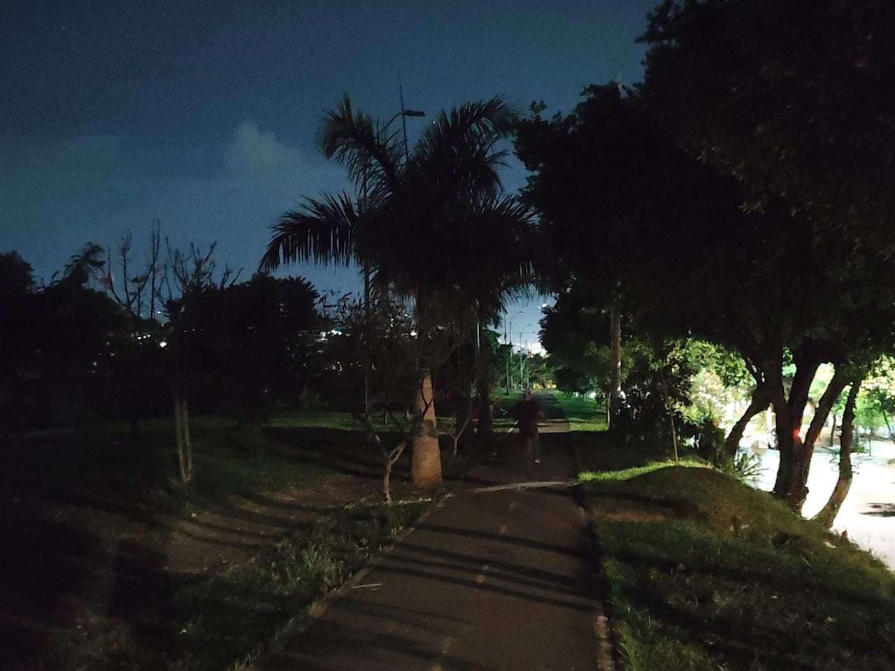 Habitantes aseguran que el robo de cableado eléctrico habría dejado sin energía varias luminarias del sector.