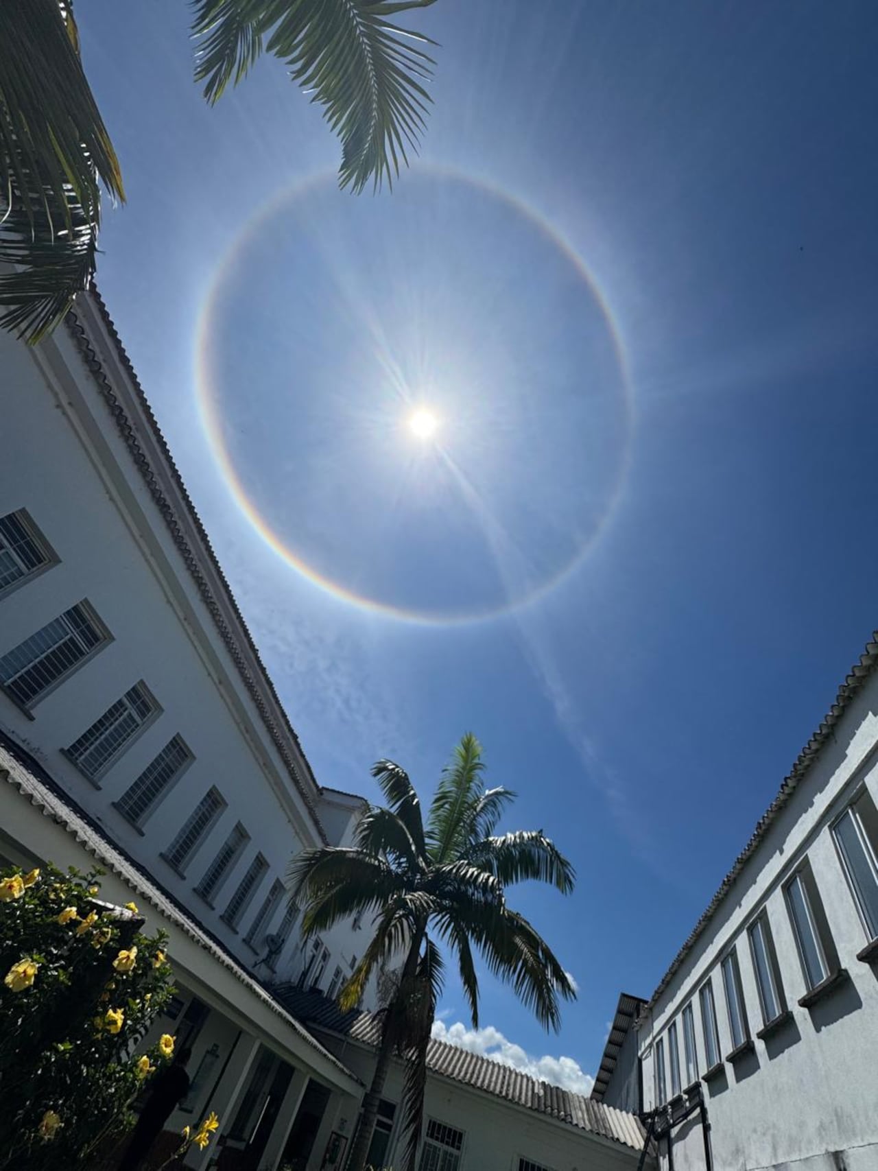 Expertos explican que el halo solar se produce por la refracción de la luz en cristales de hielo presentes en nubes altas.