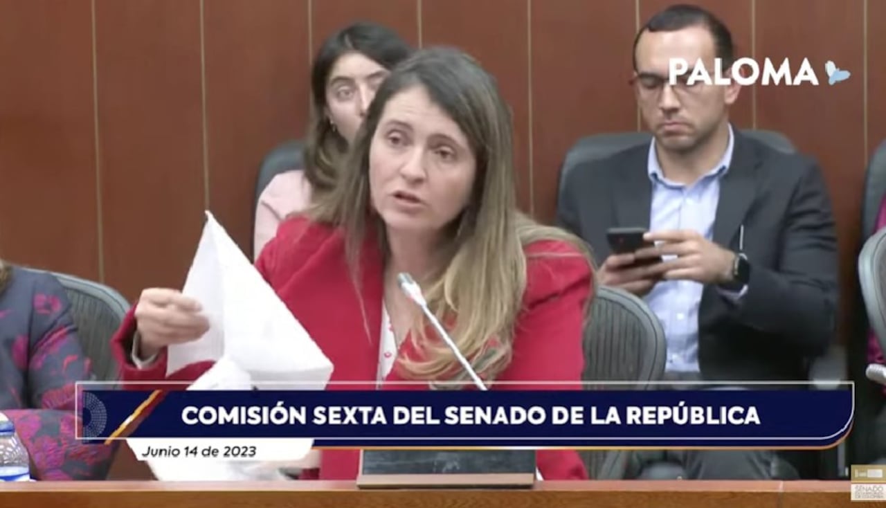 Paloma Valencia explica los beneficios del proyecto de Bono Escolar, durante la discusión en primer debate