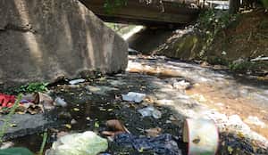 En los últimos cinco años, el río Cañaveralejo ha mantenido su condición crítica en la salida de Cali. Según los datos históricos del Dagma, presentó índices de calidad mala en en 2019 (0,36), 2020 (0,36), 2021 (0,30), 2022 (0,43) y 2023 (0,36).