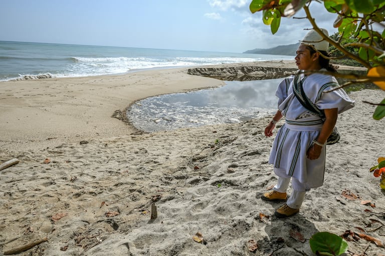 785
Un indígena arhuaco se encuentra frente al mar en la Reserva Indígena Kutunsama, en el Parque Nacional Natural Tayrona, departamento Magdalena, Colombia, el 18 de abril de 2026. A primera vista, parece una joya turística de postal, con aguas cristalinas del Caribe y montañas coronadas por picos nevados.