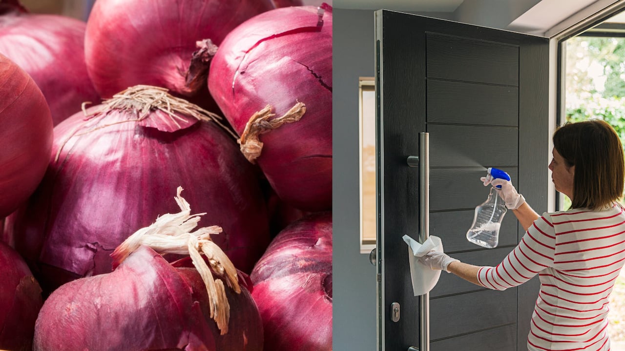 La manera de utilizar la cebolla en la limpieza del hogar