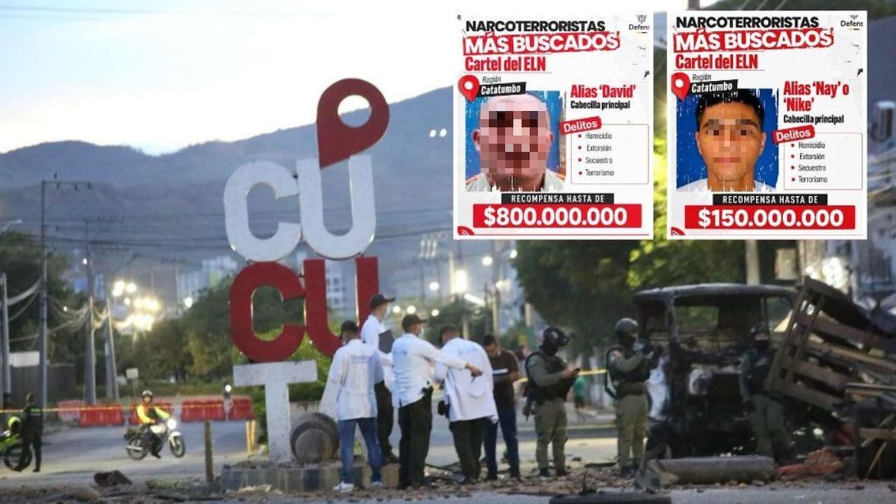 A través de su cuenta en la red social X, el ministro de Defensa, general retirado Pedro Sánchez, quien se encuentra en una licencia temporal de 20 días por un procedimiento médico programado desde el pasado 14 de julio, aseguró que las primeras investigaciones de la Fuerza Pública apuntan a alias David y alias Nay, también conocido como Nike, ambos señalados como integrantes del ELN, como los presuntos responsables de ordenar la acción terrorista.