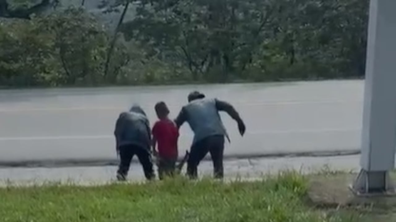 A través de un vídeo, dos extranjeros asesinan a golpes a un perro, luego dejan su cadáver a un costado de la vía Popayán-Cali.