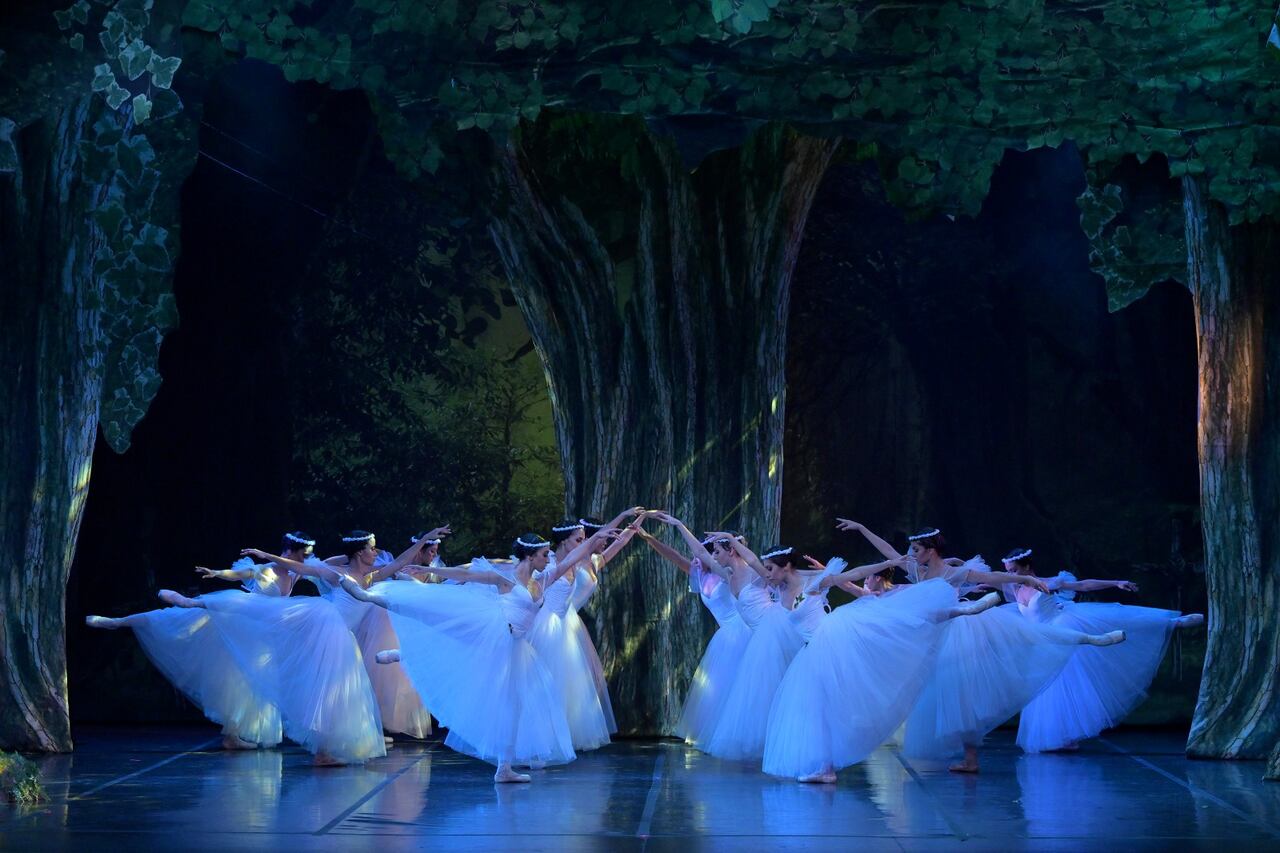 En los valles cercanos al río Rin vive Giselle, una campesina de gran belleza y extremada inocencia. Giselle desea ante todo bailar, pero es reprimida constantemente por su madre, quien teme, por su frágil y quebradiza salud, que Giselle muera.
La Compañía Colombiana de Ballet Clásico - CCB, creada en el año 2000, es la única compañía profesional de su género en Colombia. Está conformada en su mayoría por egresados del Instituto Colombiano de Ballet Clásico Incolballet.