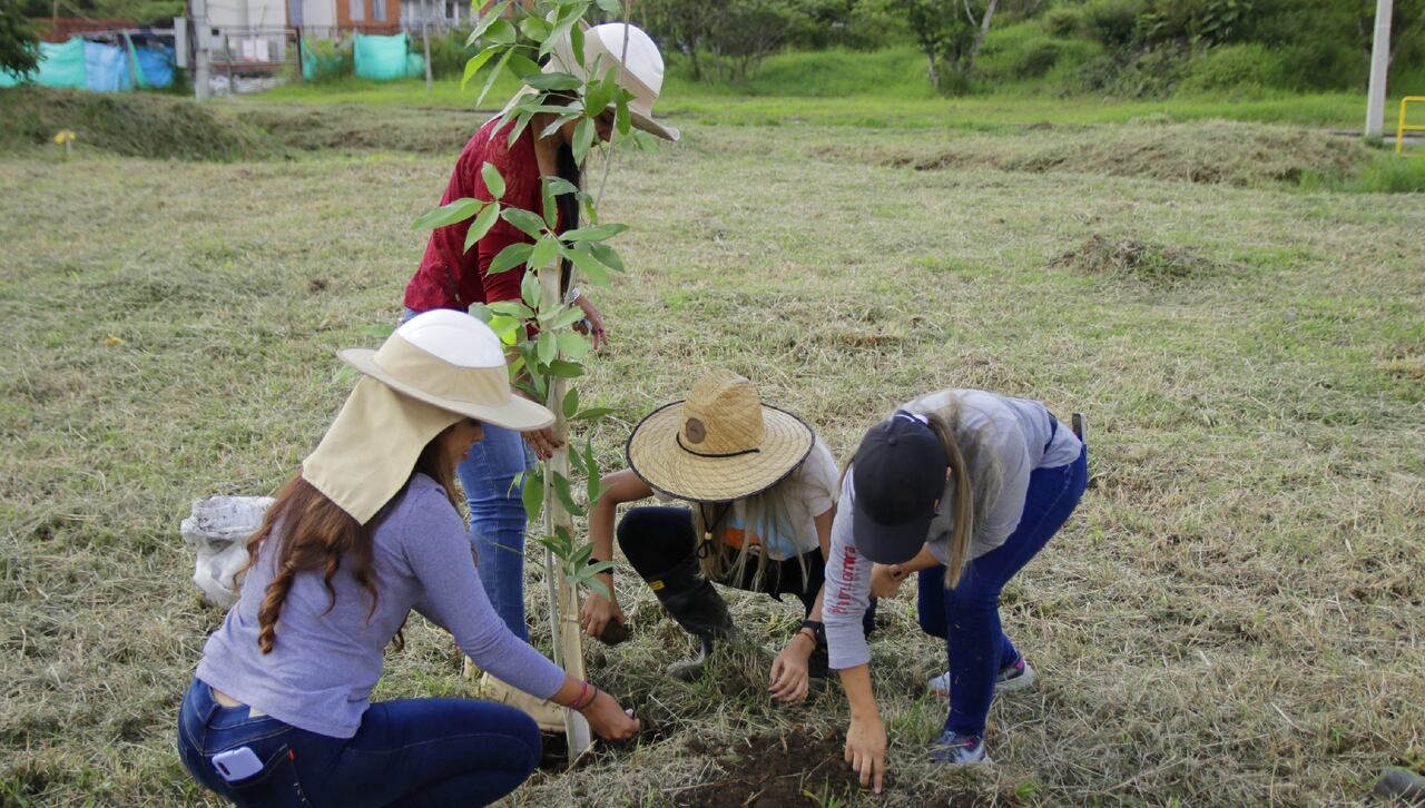 Como parte de su compromiso con el medio ambiente, la Constructora adoptó más de 68.300 m2 de parques en Cali.
