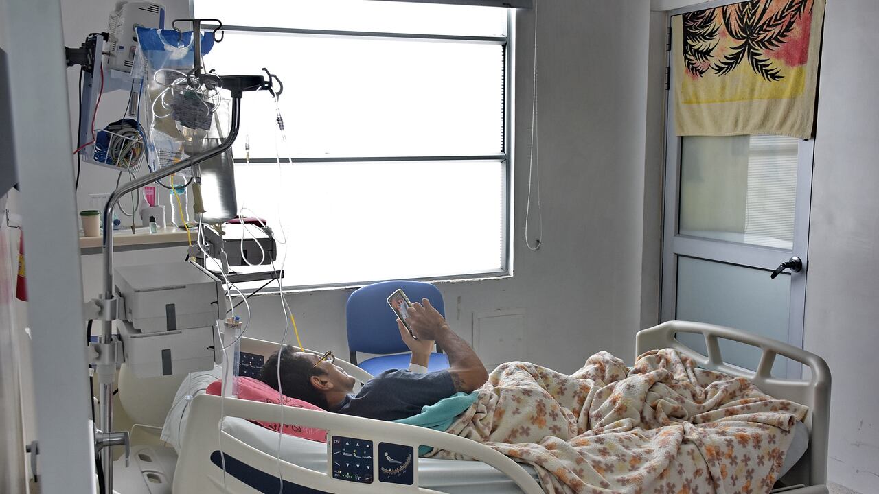 Recorrido por parque en homenaje a los donantes de órganos en el HUV.