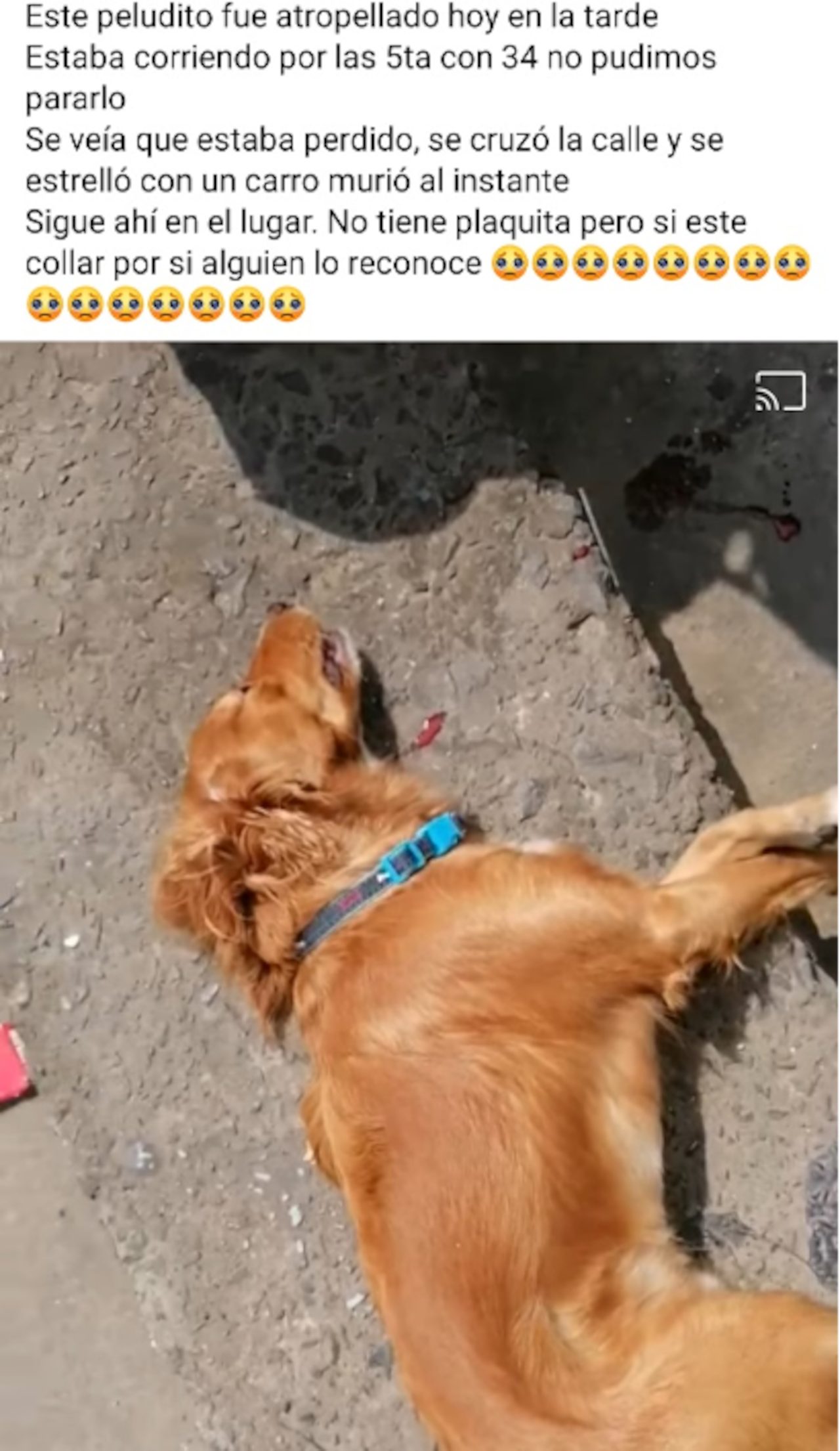 Los que sufren la pólvora