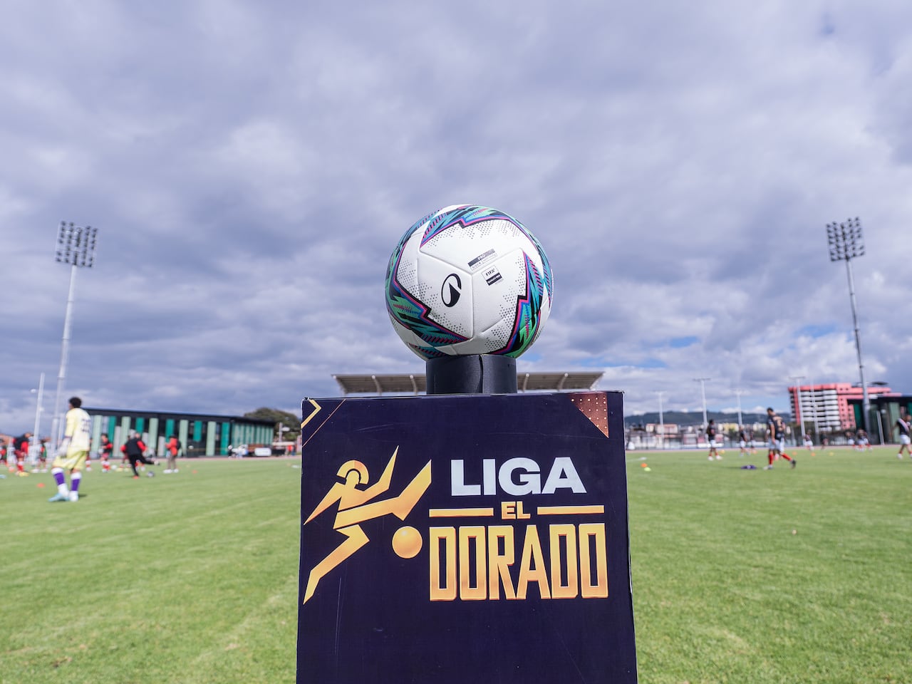 Liga El Dorado