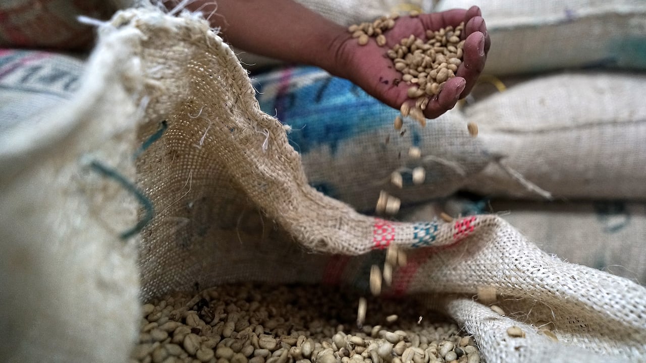 El día Nacional del café se celebra este jueves 27 de junio, con el aniversario de la creación de la Federación Nacional de Cafeteros, entidad que nació el 27 de junio de 1927