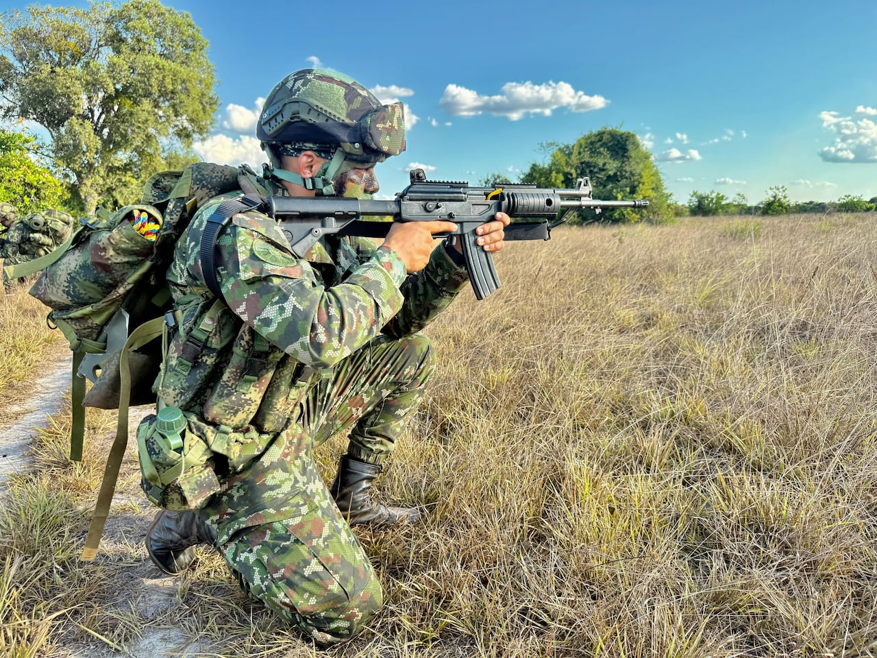 Afectación a las disidencias de la Segunda Marquetalia en el Vichada.
