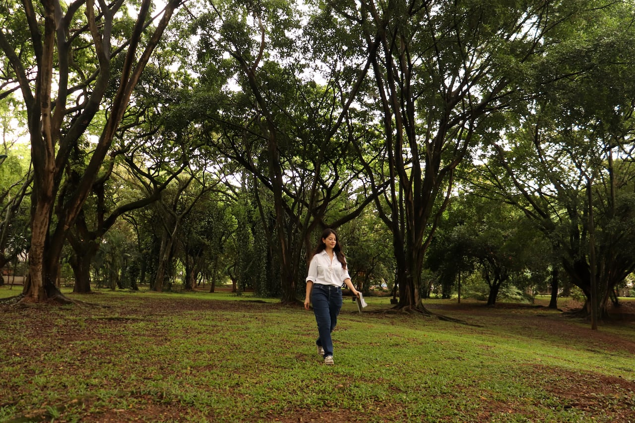 Cali tiene una de las redes de bosques urbanos mas extensa de américa latina.