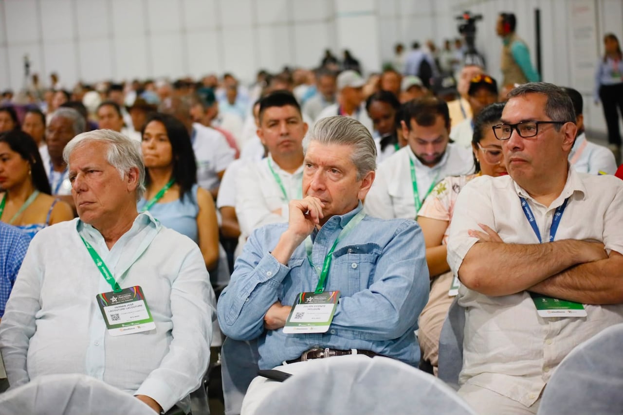Diversos panelistas se refirieron durante el congreso nacional del sector a los temas que más preocupa o interesa a los palmicultores en Colombia.