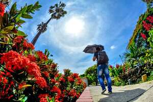 La ola de calor hace que los caleños busquen cualquier tipo de protección.
Foto: Jorge Orozco / El País