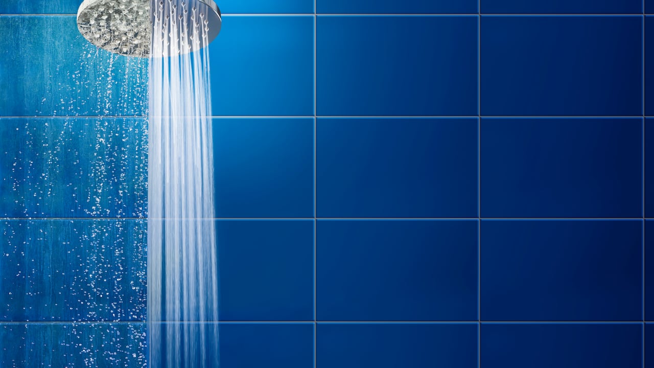 La ducha es una de las partes más importantes del baño.